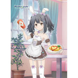 劇場版Fate/kaleid liner プリズマ☆イリヤ Licht 名前の無い少女 描き下ろしB2タペストリー 美遊/バニーメイド Wスエード(掛布)※不設寄送《25年7月預定》 4571608508671