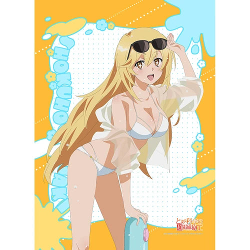 とある科学の超電磁砲T 描き下ろしB2タペストリー 食蜂操祈/水遊び Wスエード(掛布)※不設寄送《26年2月預定》 日版 全數$398 / ※不設寄送 / 25年12月12日