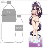 【再販】ハイスクールD×D HERO 特大アクリルスタンド 姫島朱乃(亞加力立牌)※不設寄送《26年10月預定》 日版 全數$328 / ※不設寄送 / 26年8月14日