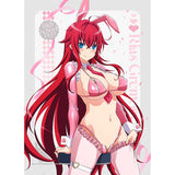 ハイスクールD×D HERO 描き下ろしB2タペストリー リアス・グレモリー/逆バニー(ピンク) Wスエード(掛布)※不設寄送《26年5月預定》 日版 全數$398 / ※不設寄送 / 26年2月27日