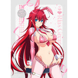 ハイスクールD×D HERO 描き下ろしB2タペストリー リアス・グレモリー/逆バニー(ピンク) Wスエード(掛布)※不設寄送《26年5月預定》 日版 全數$398 / ※不設寄送 / 26年2月27日