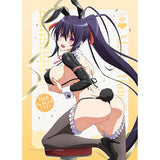 ハイスクールD×D HERO 描き下ろしB2タペストリー 姫島朱乃/逆バニー(黒) Wスエード(掛布)※不設寄送《26年5月預定》 日版 全數$398 / ※不設寄送 / 26年2月27日