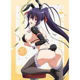 ハイスクールD×D HERO 描き下ろしB2タペストリー 姫島朱乃/逆バニー(黒) Wスエード(掛布)※不設寄送《26年5月預定》 日版 全數$398 / ※不設寄送 / 26年2月27日