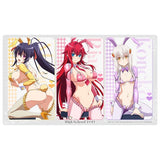 ハイスクールD×D HERO 描き下ろしラバーマット 逆バニー(カラー)(橡膠枱墊)※不設寄送《26年5月預定》 日版 全數$298 / ※不設寄送 / 26年2月27日