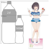 日々は過ぎれど飯うまし 描き下ろし特大アクリルスタンド 河合まこ/水着(亞加力立牌)※不設寄送《26年5月預定》 日版 全數$328 / ※不設寄送 / 26年2月27日