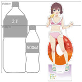 日々は過ぎれど飯うまし 描き下ろし特大アクリルスタンド 古舘くれあ/水着(亞加力立牌)※不設寄送《26年5月預定》 日版 全數$328 / ※不設寄送 / 26年2月27日