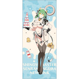 シノビマスター 閃乱カグラ NEW LINK 描き下ろし特大タペストリー 日影/ミルキーメイド(掛布)※不設寄送《26年10月預定》 日版 全數$598 / ※不設寄送 / 26年7月10日