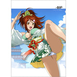 一騎当千 B2タペストリー 馬超孟起/疾風動草 Wスエード(掛布)※不設寄送《26年8月預定》 日版 全數$398 / ※不設寄送 / 26年6月12日