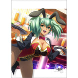 一騎当千 B2タペストリー 呂布奉先/幸運のバニーガール Wスエード(掛布)※不設寄送《26年8月預定》 日版 全數$398 / ※不設寄送 / 26年6月12日