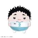 【再販】ハイキュー!! ふわコロりん Msize5 C 松川一静(毛公仔)※不設寄送《25年6月預定》 4571617071845