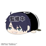 TA-07 桃源暗鬼 ぽてコロマスコット Msize A 一ノ瀬四季(毛公仔)※不設寄送《25年12月預定》 日版 全數$158 / ※不設寄送 / 25年9月12日