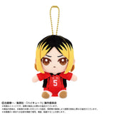 ハイキュー!! Chibiぬいおすわりマスコット 孤爪研磨(2025年8月版)(毛公仔)※不設寄送《25年8月預定》 4571617932788