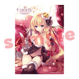 Candy HanaIzm アクリルプレートD(亞加力立牌)※不設寄送《25年11月預定》 日版 全數$298 / ※不設寄送 / 25年9月29日