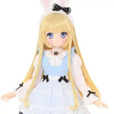 アイリスコレクトプチ こはる/Poppin' bunny garden(Wonder Rabbit Ver.)《25年3月預定》 4573199846149