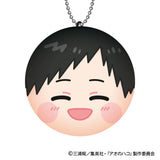 アオのハコ まるコレ!(全套8個入)※不設寄送《25年4月預定》 4573200748653