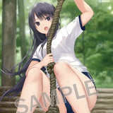 珈琲貴族 B2タペストリー アスレチック白峰さん(掛布)※不設寄送《24年3月預定》 4573356690714