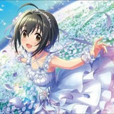 ブシロード ラバーマットコレクション V2 Vol.1512 アイドルマスター シンデレラガールズ 小日向美穂 日向の乙女Ver.(橡膠枱墊)※不設寄送《25年2月預定》 4573616001953