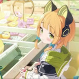 ブシロード ラバーマットコレクション V2 Vol.1604 ブルーアーカイブ -Blue Archive- ミドリ メモリアルロビーイラストVer.(橡膠枱墊)※不設寄送《25年4月預定》 4573616005326