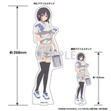 ようこそ実力至上主義の教室へ BIGアクリルスタンド 堀北鈴音 ペインターVer.(亞加力立牌)※不設寄送《26年10月預定》 日版 全數$248 / ※不設寄送 / 26年8月28日