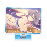 アクリルスタンド シノビマスター 閃乱カグラ NEW LINK 117 雪泉(公式イラスト)(亞加力立牌)※不設寄送《25年8月預定》 日版 全數$138 / ※不設寄送 / 25年6月23日