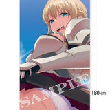 嫌な顔されながらおパンツ見せてもらいたい2 メガタペ 08 女騎士(掛布)※不設寄送《22年9月預定》 4580565421879