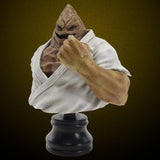 BMC キン肉マンシリーズ No.11 ザ・魔雲天《26年4月預定》 日版 全數$838 / *免運費   店取pt:10 / 25年11月17日