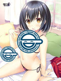 【18+】AMBITIOUS MISSION モフモフ毛布 弥栄A(毛氈)《23年3月預定》 4580600346099