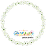 フローラル・フローラブ 特大アクスタ フロフロ 七緒(亞加力立牌)※不設寄送《24年4月預定》 4580600349373