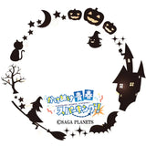 かけぬけ★青春スパーキング! 特大アクスタ かけぬけ 鹿島(亞加力立牌)※不設寄送《24年4月預定》 4580600349410