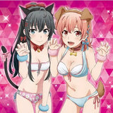 やはり俺の青春ラブコメはまちがっている。完 キャラクターラバーマットD 雪乃&結衣 水着Ver.(橡膠枱墊)※不設寄送《23年1月預定》 4580668826229