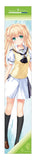 Summer Pockets REFLECTION BLUE マフラータオル 紬ヴェンダース(長毛巾)※不設寄送《25年9月預定》 日版 全數$228 / ※不設寄送 / 25年7月25日