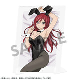 FAIRY TAIL 100年クエスト 描き下ろしビジュアルアクリルプレート エルザ・スカーレット B(亞加力立牌)※不設寄送《26年3月預定》 日版 全數$328 / ※不設寄送 / 26年2月13日