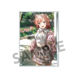 やはり俺の青春ラブコメはまちがっている。シリーズ トレーディングアクリルカード Vol.5(亞加力收藏卡)(全套10個入)※不設寄送《26年11月預定》 日版 全數$458 / ※不設寄送 / 26年9月4日