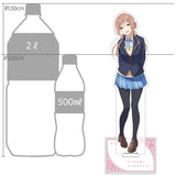 学園アイドルマスター 特大アクリルスタンド 姫崎莉波(亞加力立牌)※不設寄送《26年10月預定》 日版 全數$328 / ※不設寄送 / 26年7月10日