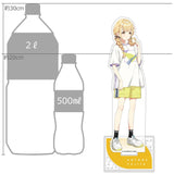 学園アイドルマスター 特大アクリルスタンド 藤田ことね/トレーニング服（亞加力立牌）※不設寄送《27年2月預定》 日版 全數$298 / ※不設寄送 / 26年11月13日