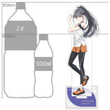 学園アイドルマスター 特大アクリルスタンド 雨夜燕/トレーニング服（亞加力立牌）※不設寄送《27年2月預定》 日版 全數$298 / ※不設寄送 / 26年11月13日