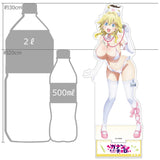 カナン様はあくまでチョロい 描き下ろし特大アクリルスタンド ジャンヌ/ナース水着(亞加力立牌)※不設寄送《26年12月預定》 日版 全數$328 / ※不設寄送 / 26年10月12日
