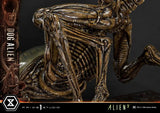 ミュージアムマスターライン XL エイリアン3 ドッグエイリアン《26年8月預定》 4582647121127