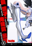 アルティメットプレミアムマスターライン キルラキル 纏流子 対 鬼龍院皐月《27年12月預定》 行版 全數$12998 / *免運費   店取pt:100 / 26年7月20日