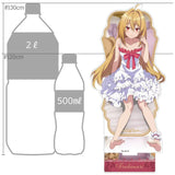 ひきこまり吸血姫の悶々 描き下ろし特大アクリルスタンド テラコマリ/ルームウェア(亞加力立牌)※不設寄送《24年7月預定》 4582651506811