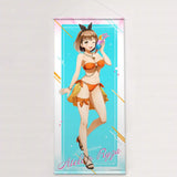 【再販】ライザのアトリエ 描き下ろし特大タペストリー(掛布)※不設寄送《25年5月預定》 4582651506972