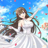 シノビマスター 閃乱カグラ NEW LINK B2タペストリー 鴇/盛・伝説爆乳祭・弐(掛布)※不設寄送《25年1月預定》 4582651512676