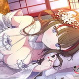 シノビマスター 閃乱カグラ NEW LINK ラバーマット 鴇/盛・伝説爆乳祭・弐(橡膠枱墊)※不設寄送《24年10月預定》 4582651512782