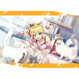 ドルフィンウェーブ B2タペストリー ねこ×ギャル(掛布)※不設寄送《25年2月預定》 4582651519248