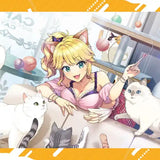 ドルフィンウェーブ B2タペストリー ねこ×ギャル(掛布)※不設寄送《25年2月預定》 4582651519248