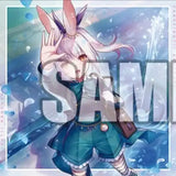 ブシロード ラバーマットコレクション V2 Vol.462 カードファイト!! ヴァンガード IridescencePalette ハーゼリット(橡膠枱墊)※不設寄送《22年10月預定》 4582692202208