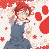 ブシロード ラバーマットコレクション V2 Vol.584 ラブライブ!スーパースター!! 米女メイ 夏服Ver.(橡膠枱墊)※不設寄送《23年3月預定》 4582692207944