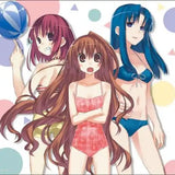 ブシロード ラバーマットコレクション V2 Vol.942 電撃文庫 とらドラ! 逢坂大河/櫛枝実乃梨/川嶋亜美(橡膠枱墊)※不設寄送《23年10月預定》 4582692222350