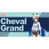 ブシロード ラバーマットコレクション V2 Vol.1072 ウマ娘 プリティーダービー Season 3 シュヴァルグラン(橡膠枱墊)※不設寄送《24年2月預定》 4582692226693