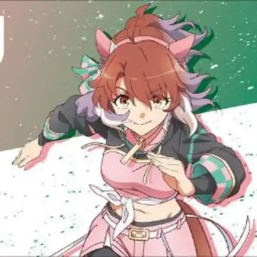 ブシロード ラバーマットコレクション V2 Vol.1305 劇場版 ウマ娘 プリティーダービー 新時代の扉 ダンツフレーム(橡膠枱墊)※不設寄送《24年10月預定》 4582692246066